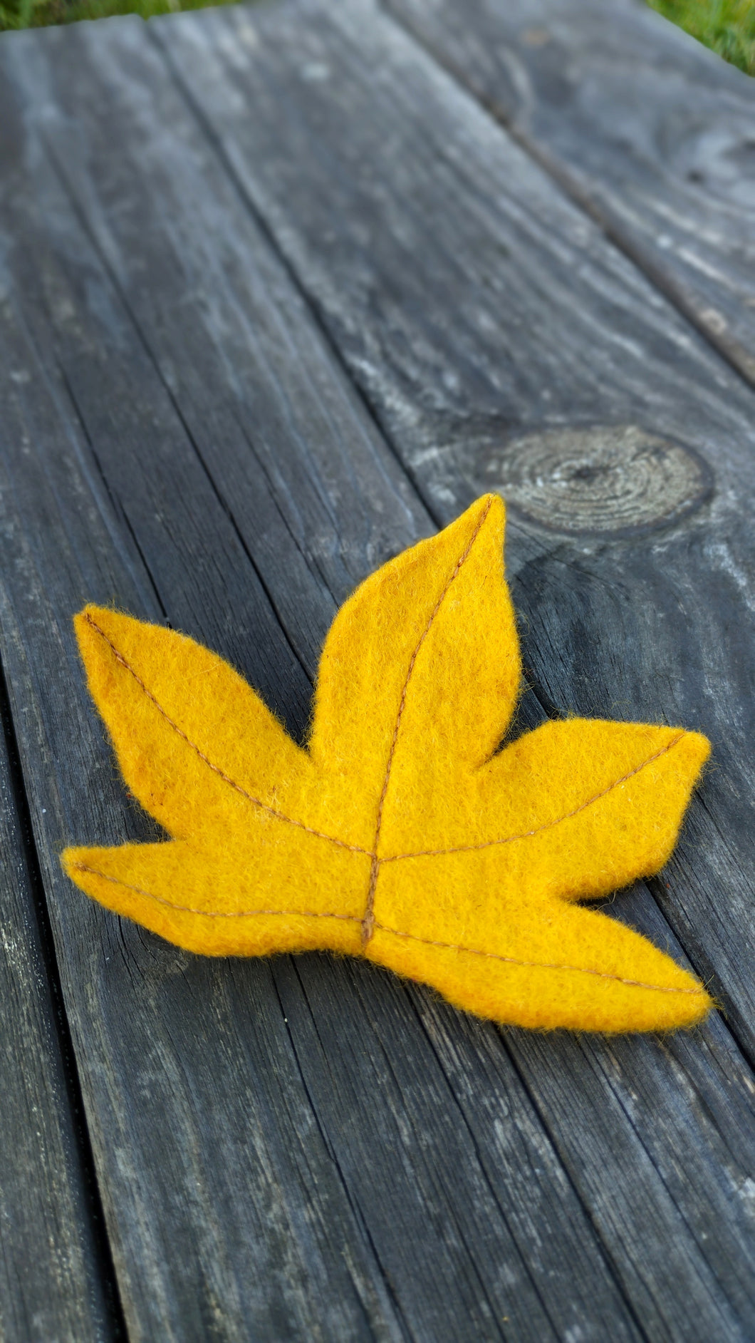 Feuille d'érable jaune