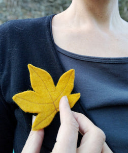 Feuille d'érable jaune