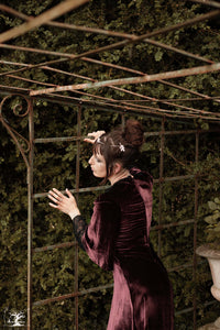 robe arwen