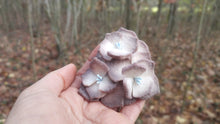 Charger l&#39;image dans la galerie, broche trois fleurs d&#39;hortensia écru et gris
