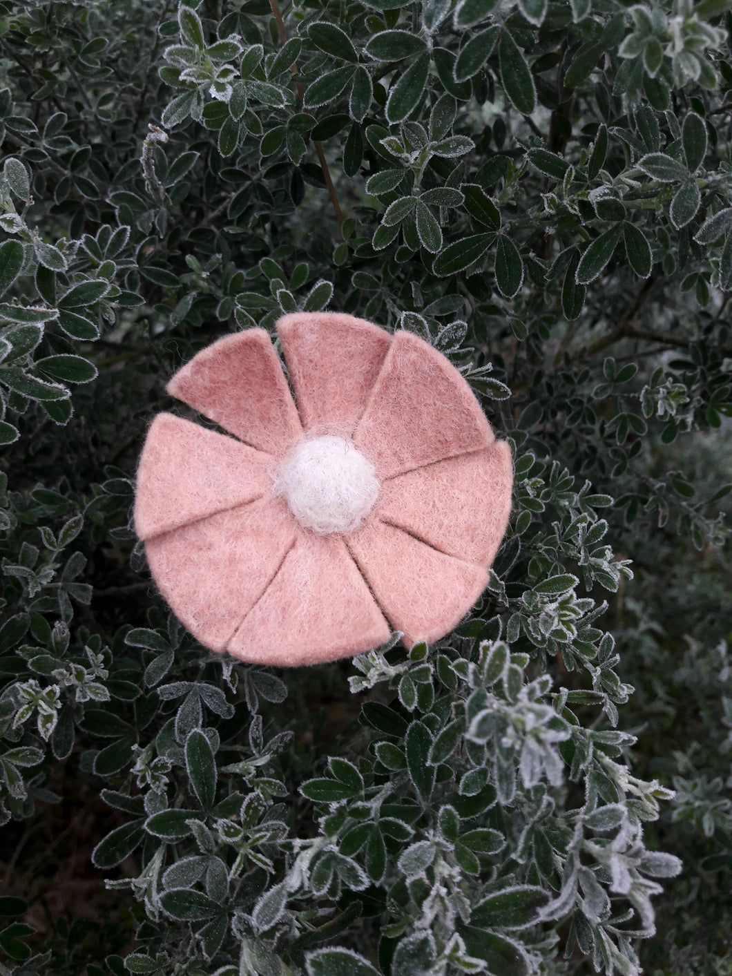 Barrette marguerite d'hiver vert rose poudré