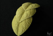 Charger l&#39;image dans la galerie, barrette trois feuilles vert lichen