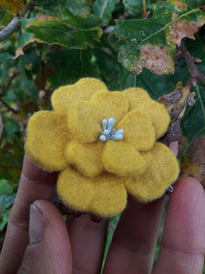barrette fleur d'aubépine jaune jonquille