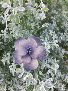 broche fleur d'aubépine coloris violet fâné (teinture végétale)