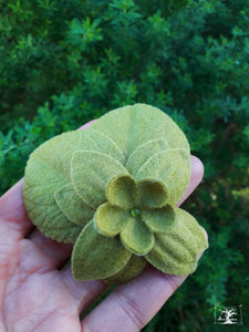 broche en feutrine de laine couleur vert lichen. Composée de deux feuilles et d'une grande fleur. Créatrice Maureen