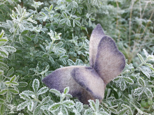 broche papillon en feutre violet fâné (teinture végétale)
